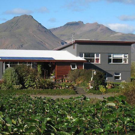 Dilksnes Guesthouse Hofn Bagian luar foto