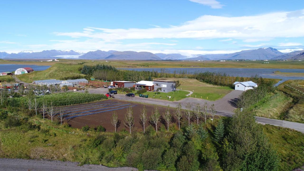 Dilksnes Guesthouse Hofn Bagian luar foto
