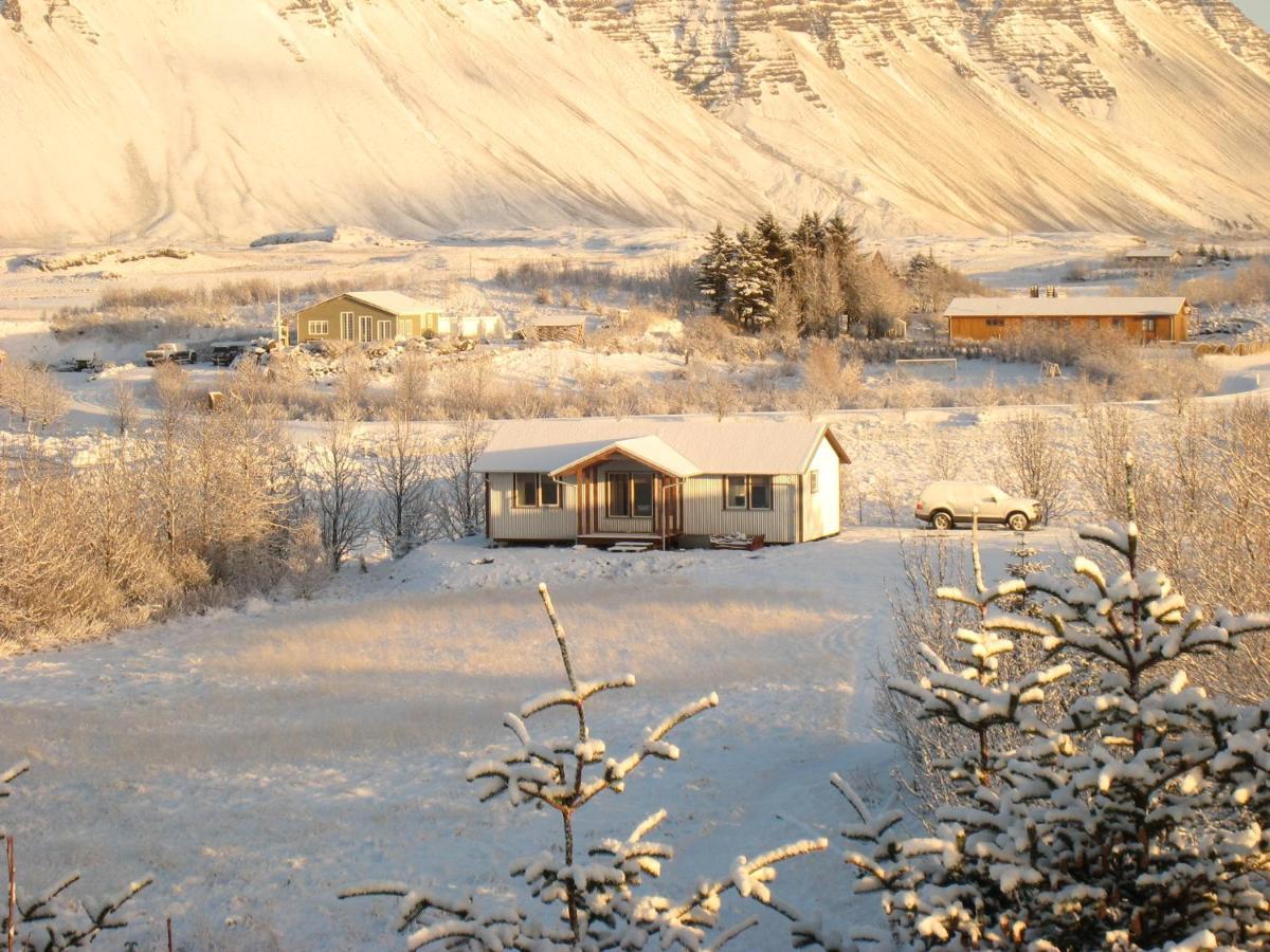 Dilksnes Guesthouse Hofn Bagian luar foto
