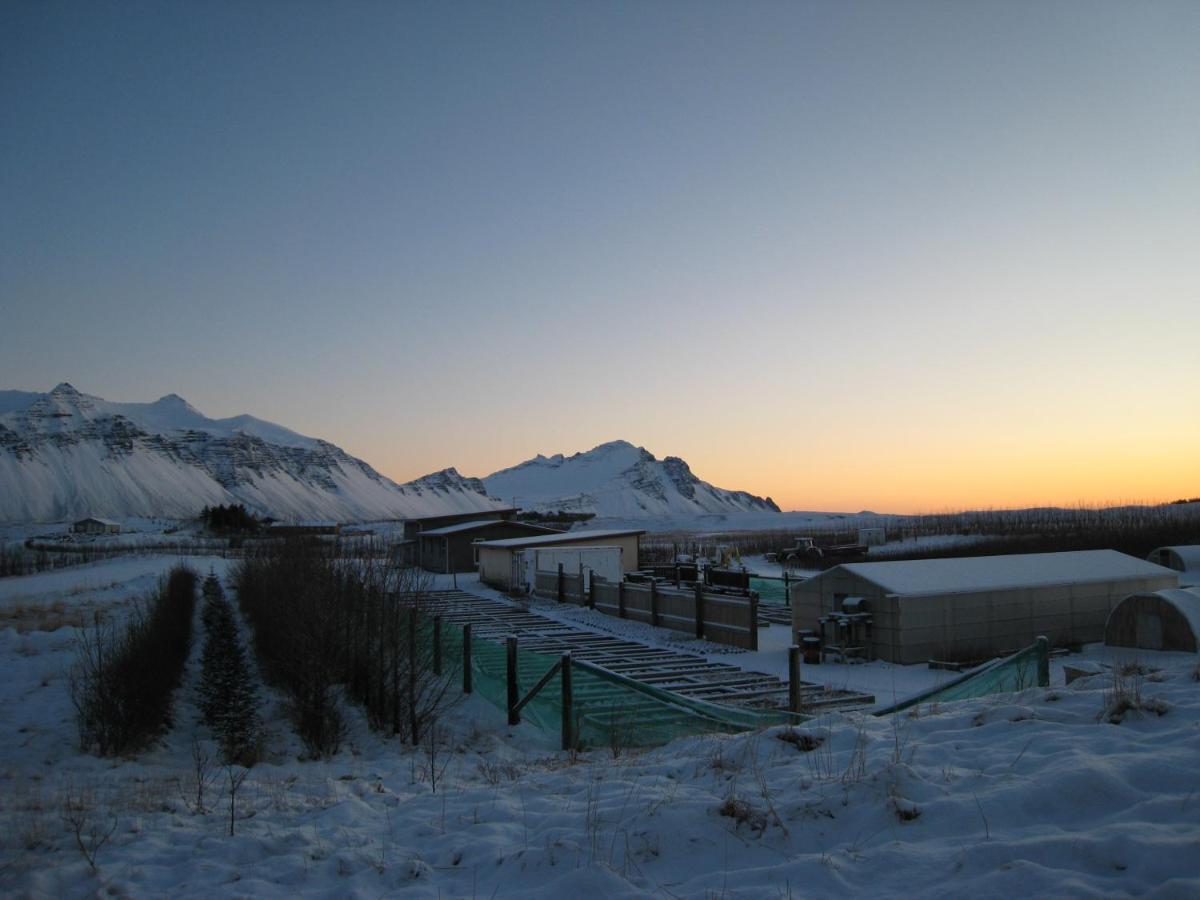 Dilksnes Guesthouse Hofn Bagian luar foto