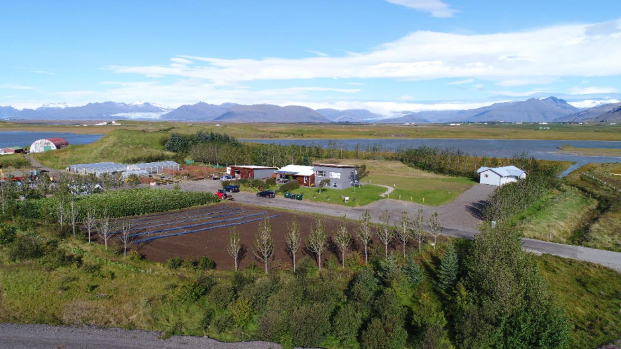 Dilksnes Guesthouse Hofn Bagian luar foto