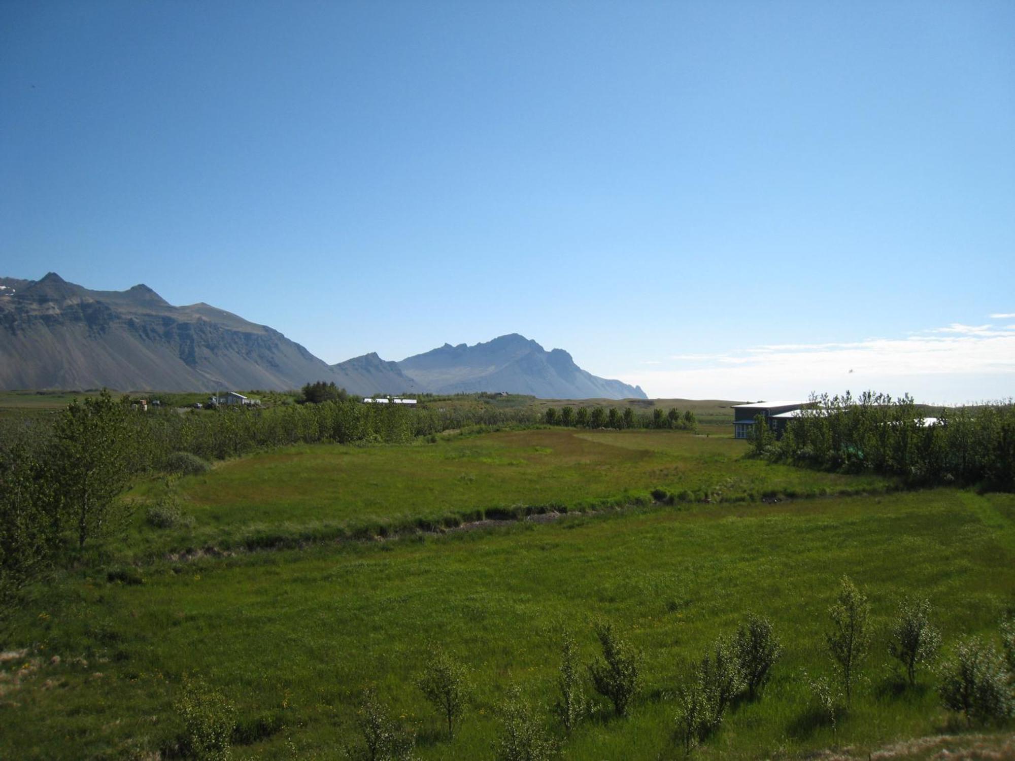 Dilksnes Guesthouse Hofn Bagian luar foto
