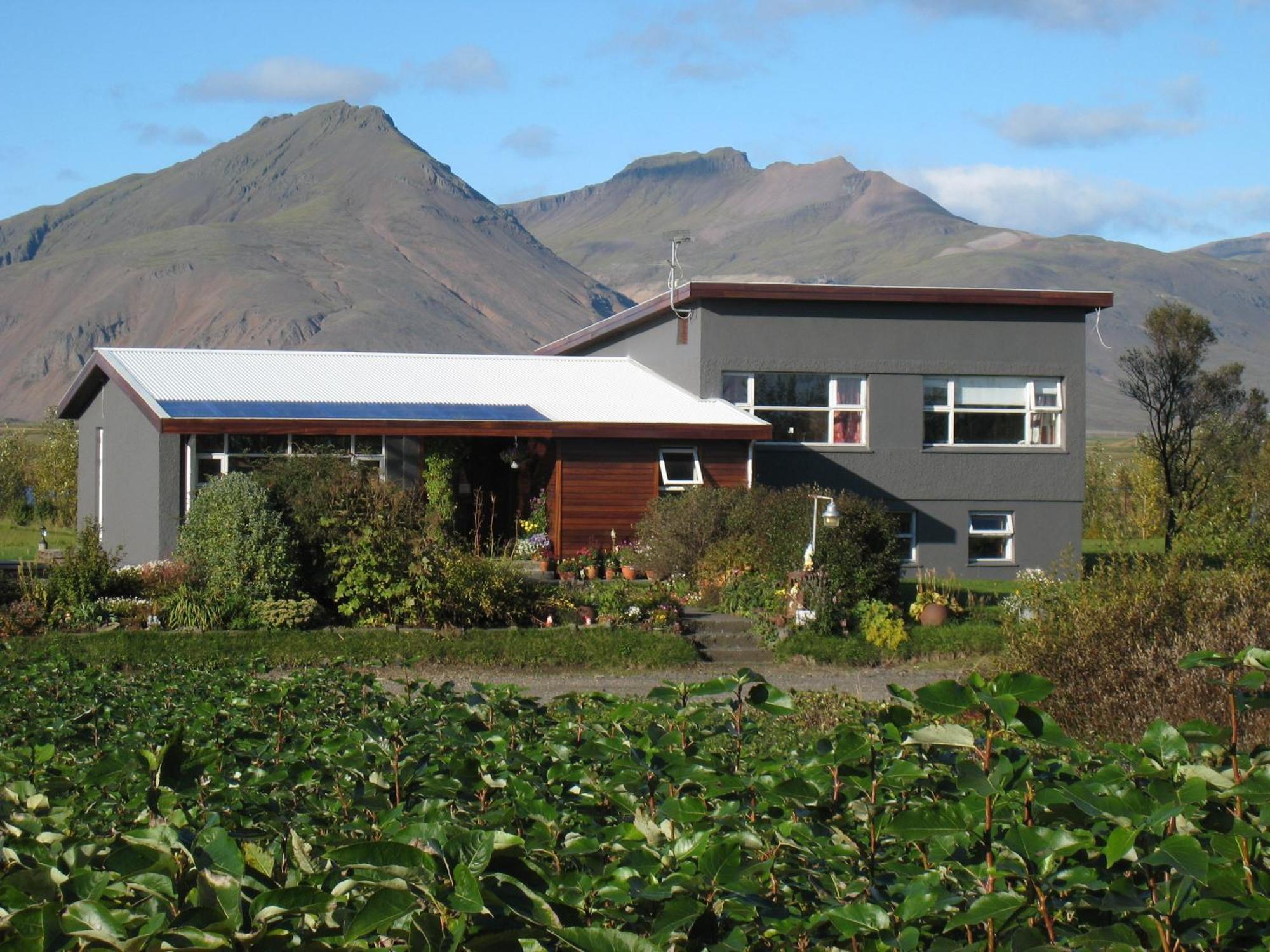 Dilksnes Guesthouse Hofn Bagian luar foto