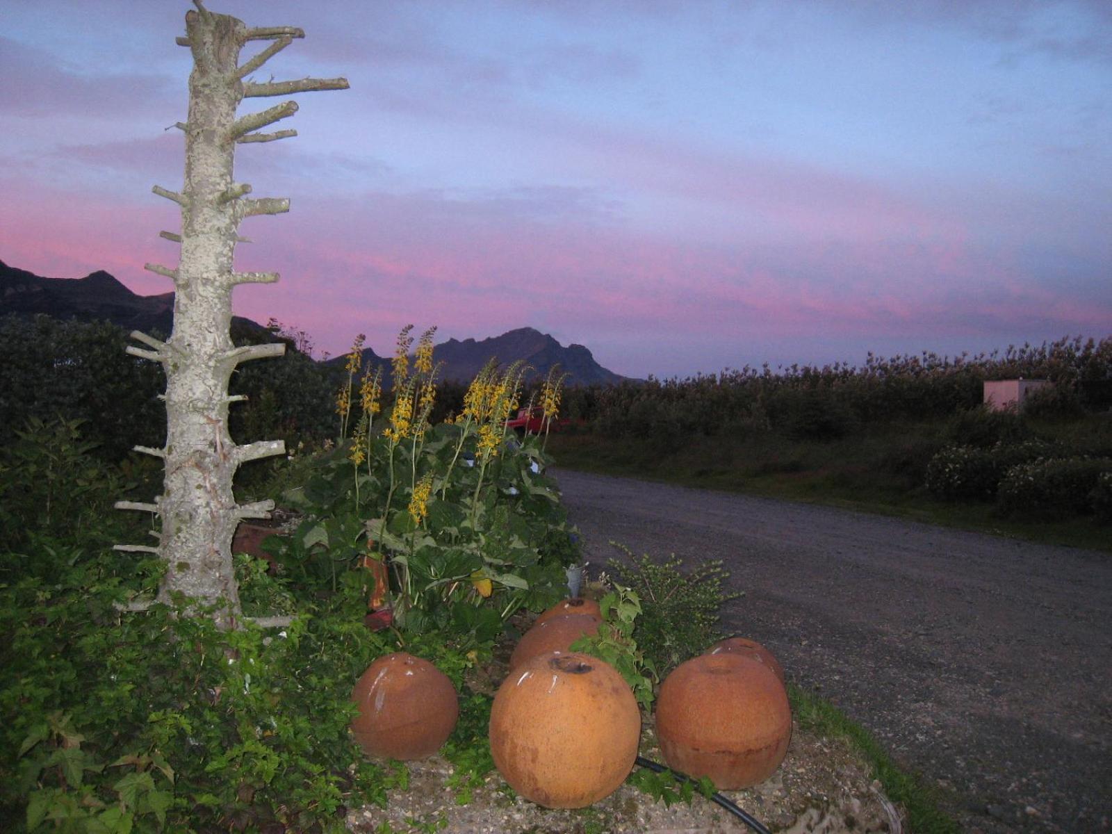 Dilksnes Guesthouse Hofn Bagian luar foto