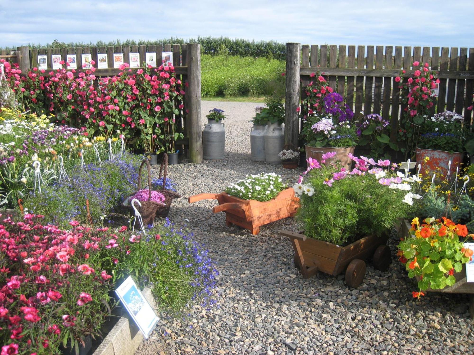 Dilksnes Guesthouse Hofn Bagian luar foto