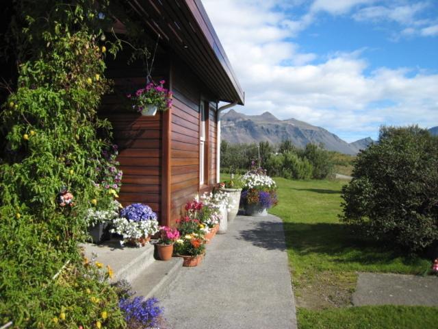Dilksnes Guesthouse Hofn Bagian luar foto