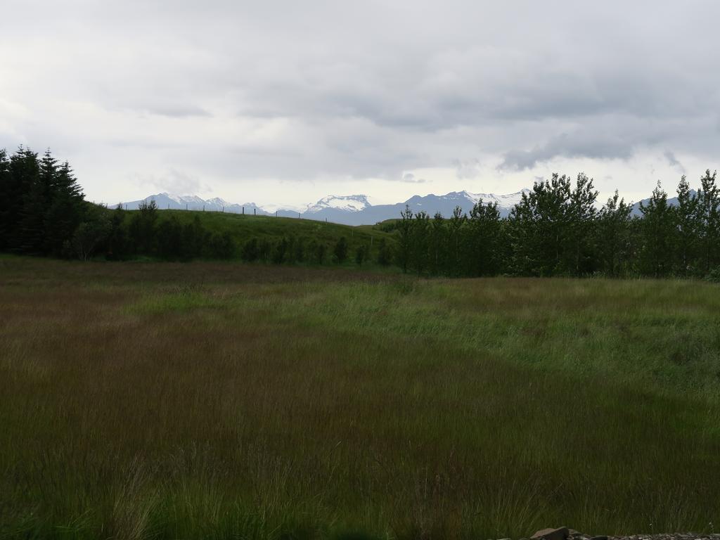 Dilksnes Guesthouse Hofn Bagian luar foto